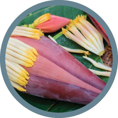 Banana Flower