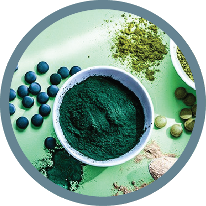 Spirulina