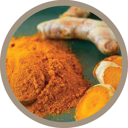 Turmeric