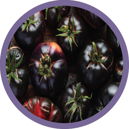 Black Tomato