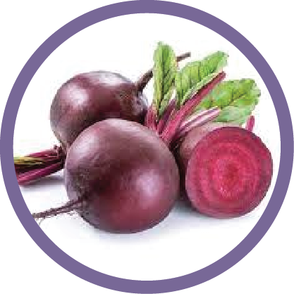 Red Beetroot