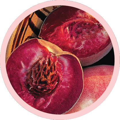 Blood Peach